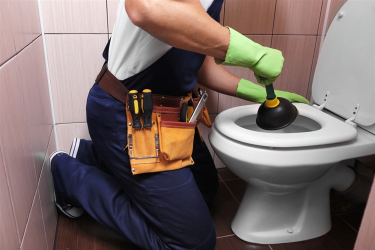 Toilet Repair